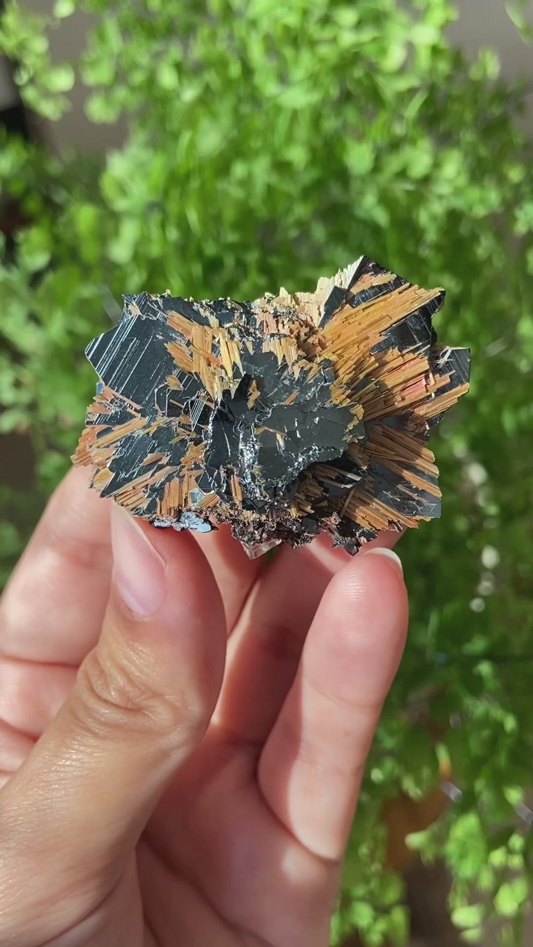 ノボホリゾンテヘマタイトゴールデンルチル ~Hematite Golden Rutile